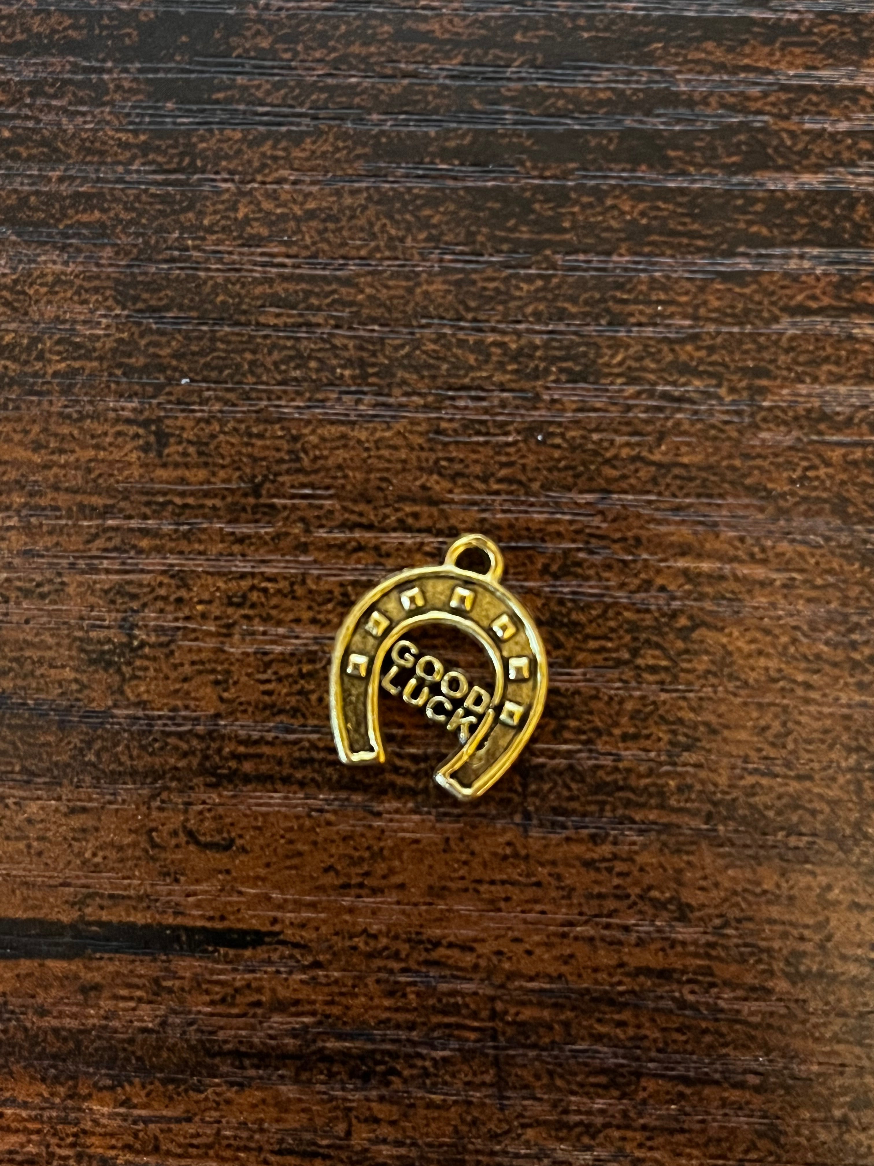Good Luck Horse Shoe Hat Chain Charm