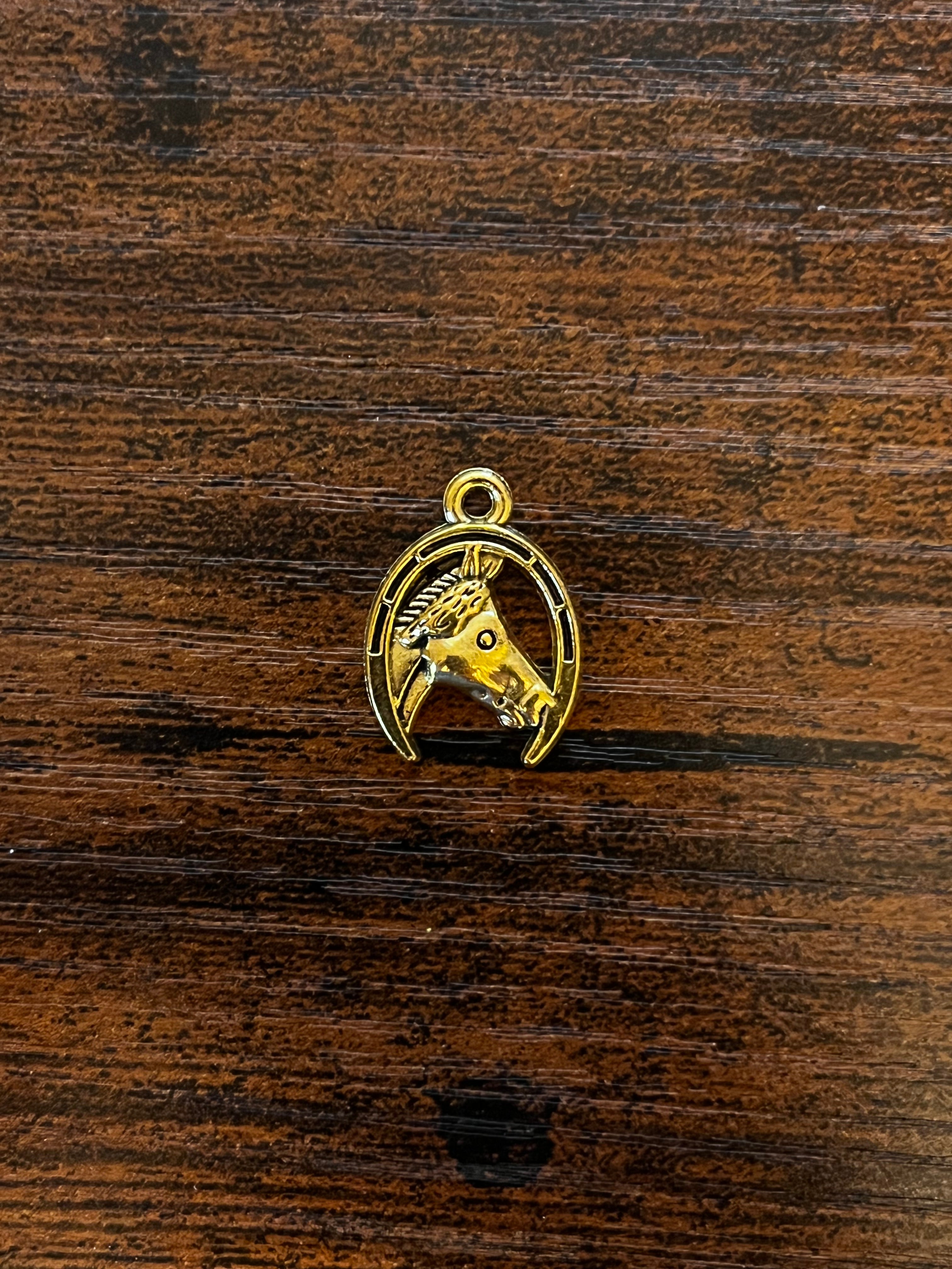 Horse in Horse Shoe Hat Chain Charm
