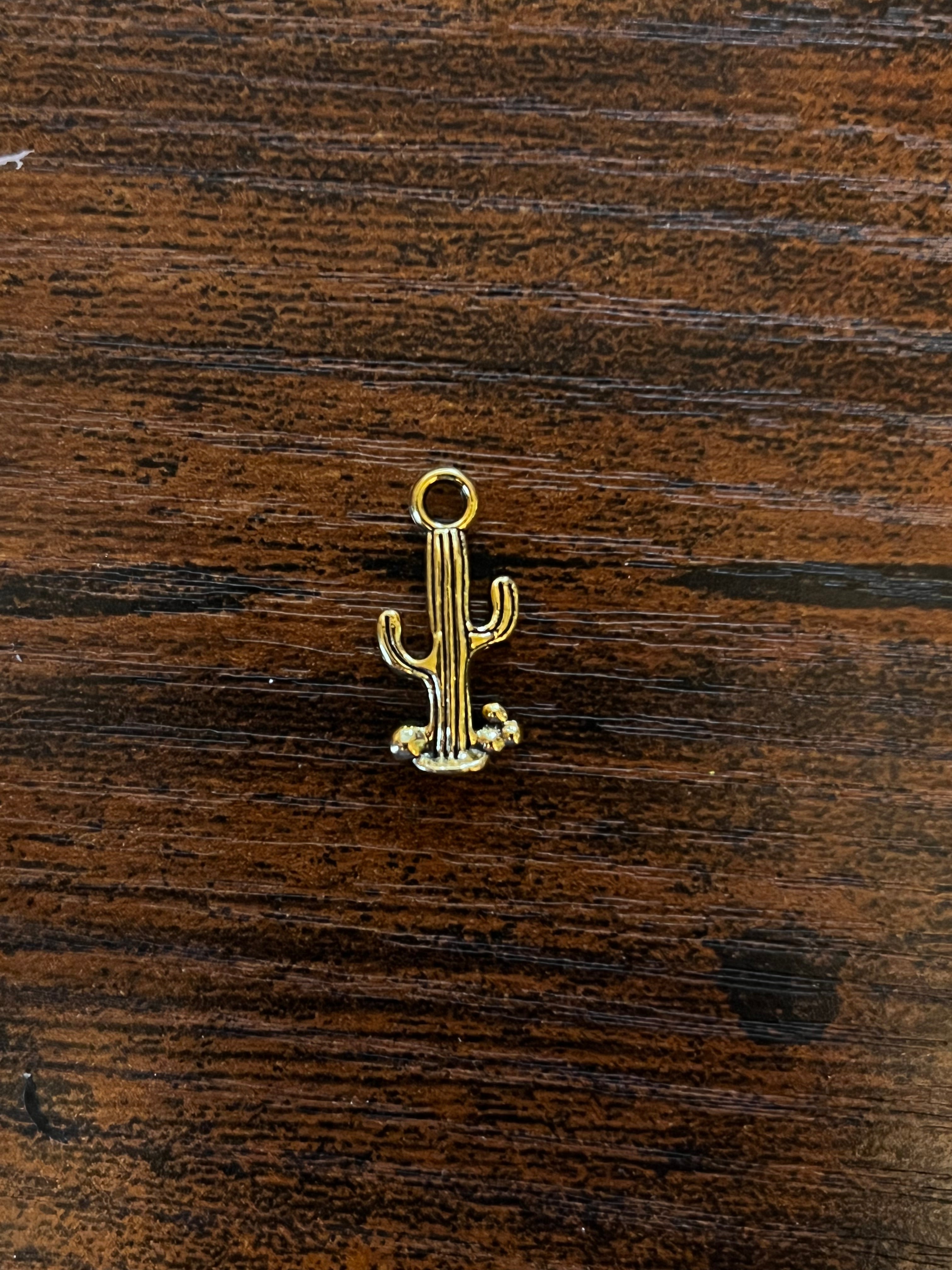 Cactus Hat Chain Charm