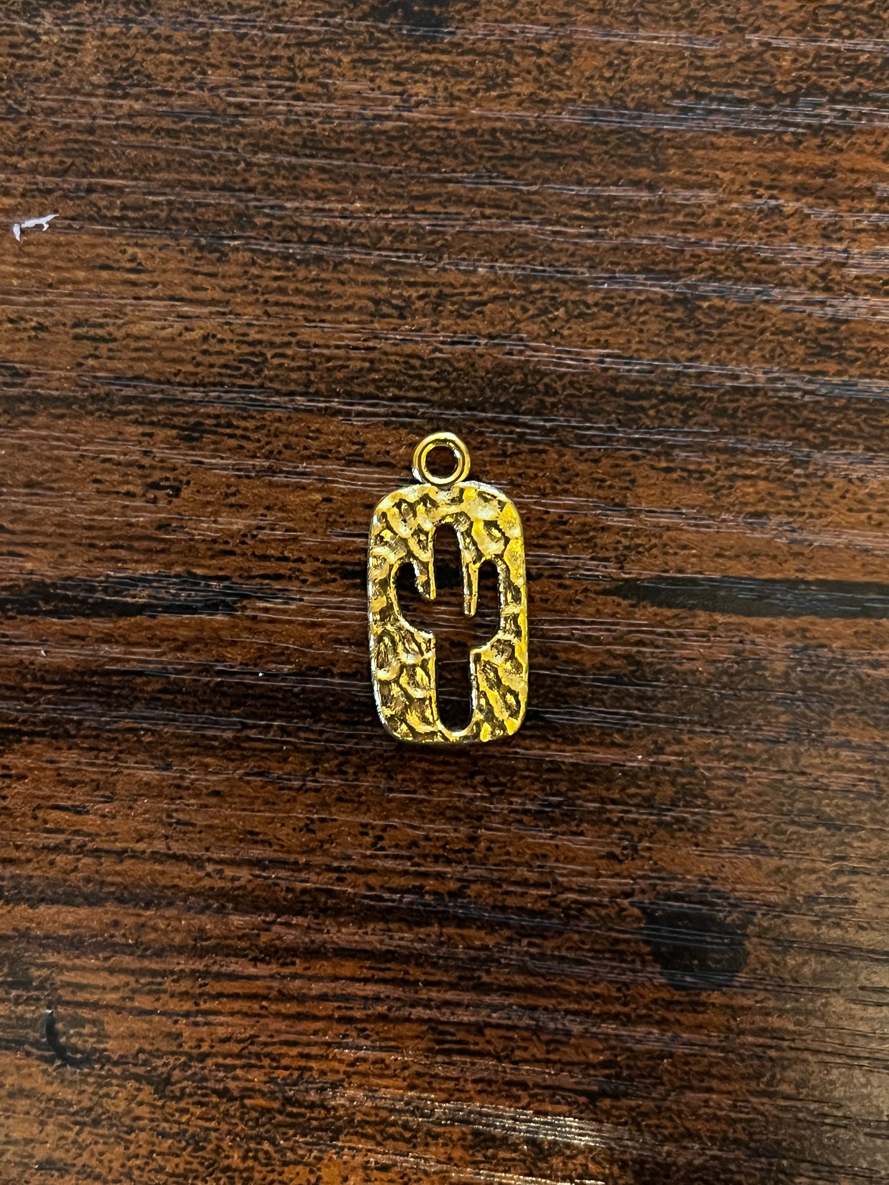 Cactus Hat Chain Charm