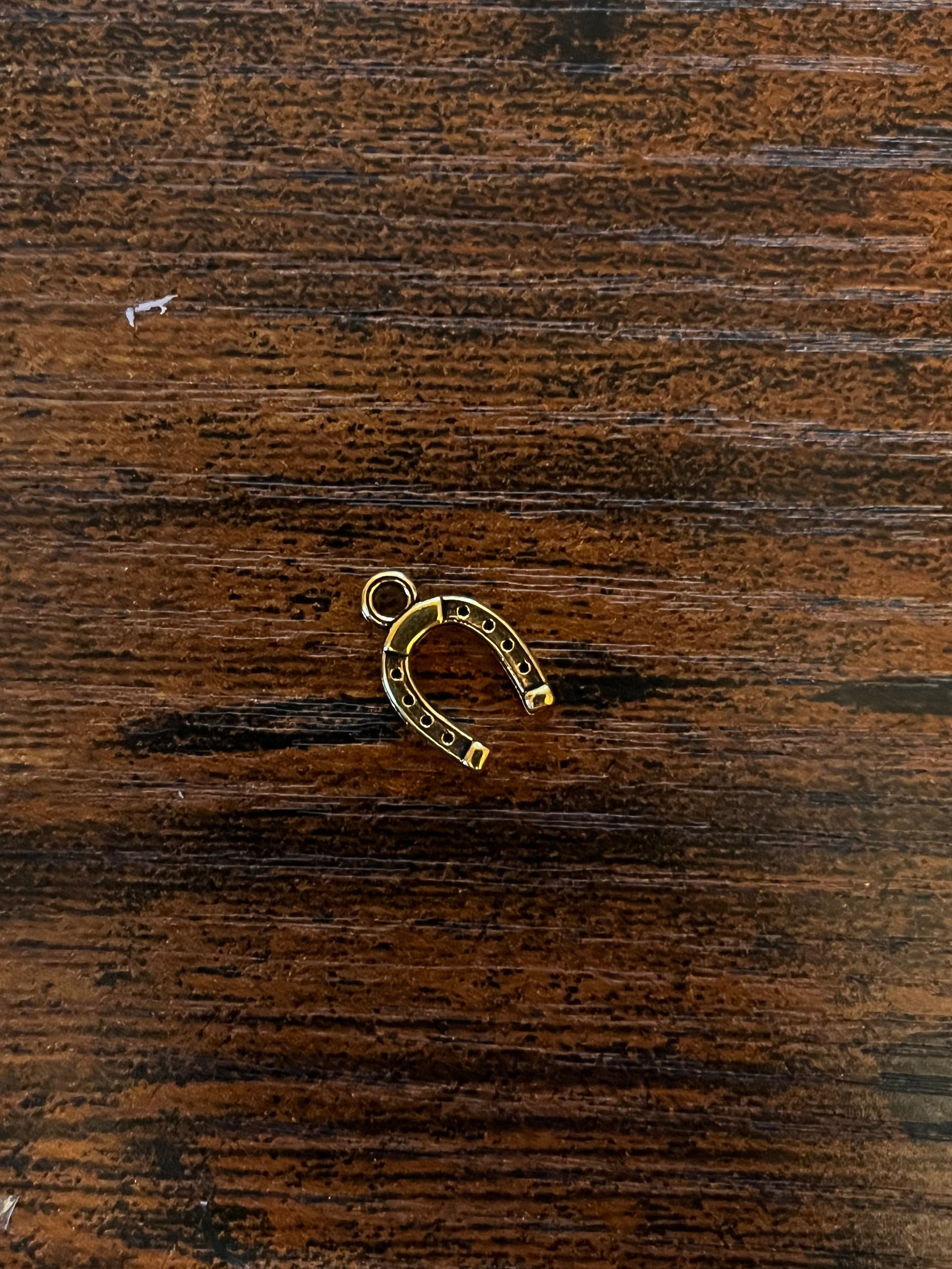 Horse Shoe Hat Chain Charm