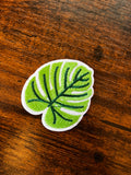 Palm Leaf Hat Patch