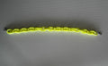 Yellow Hat Chain