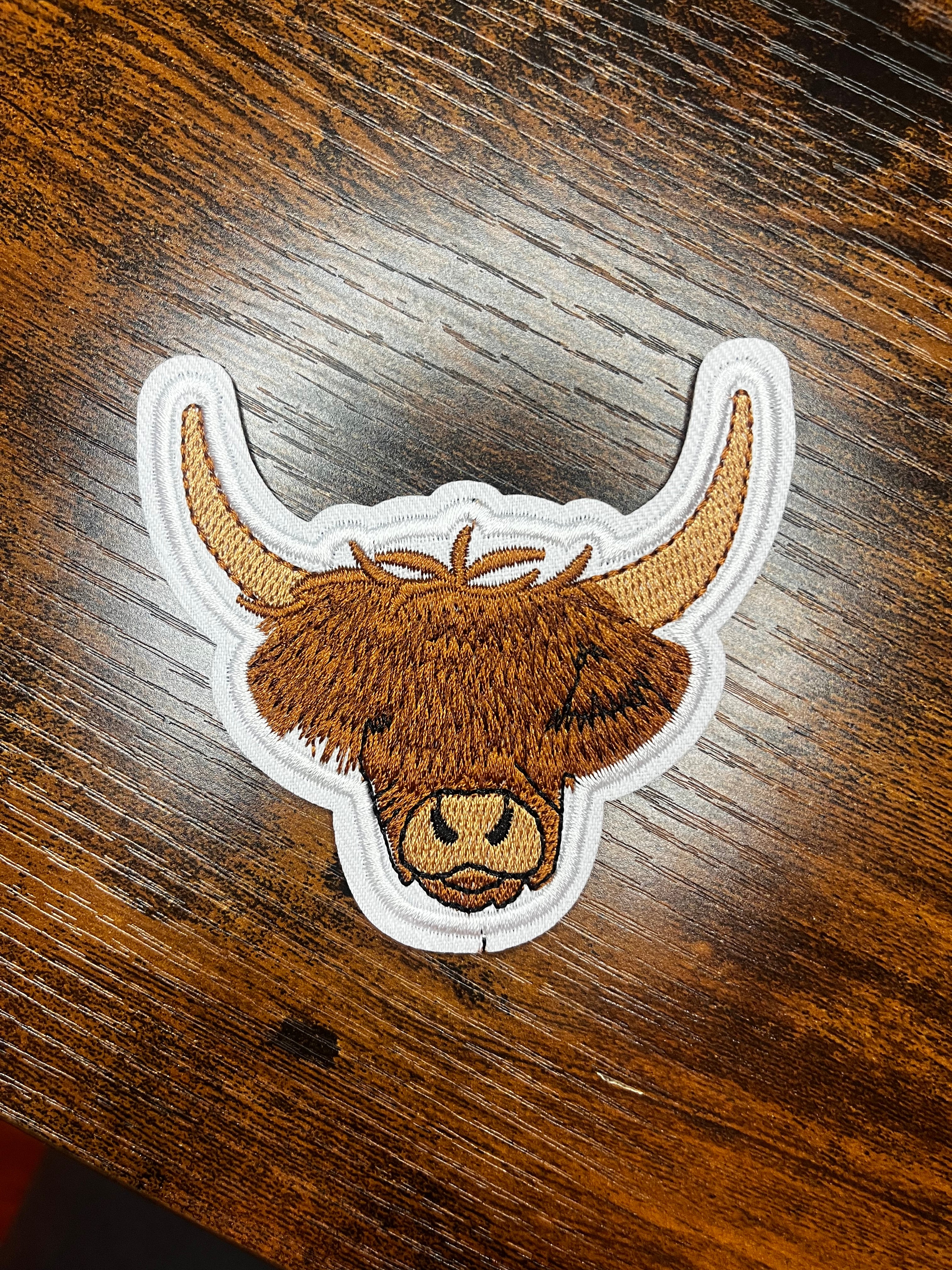 Highland Cow