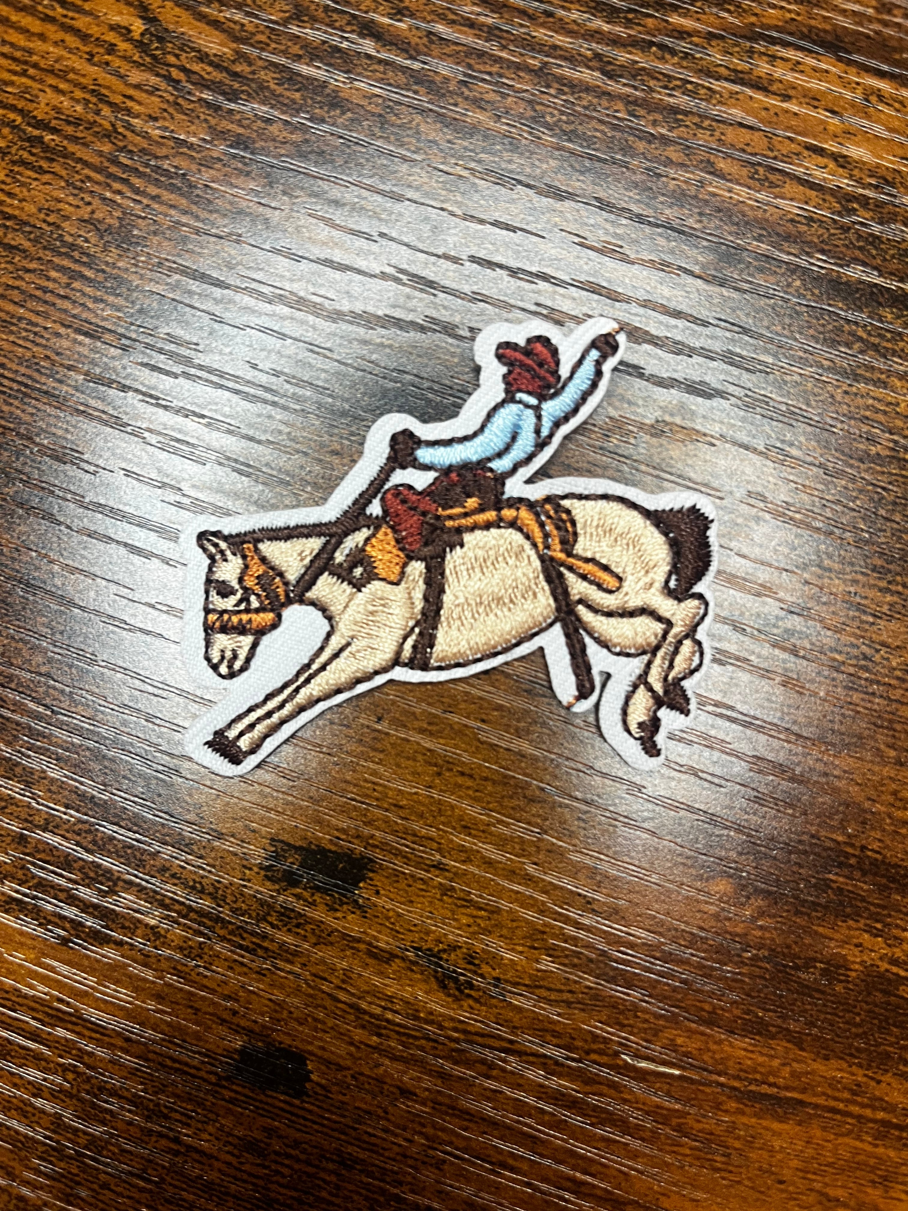 Bronc Rider
