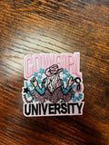 Cowgirl University